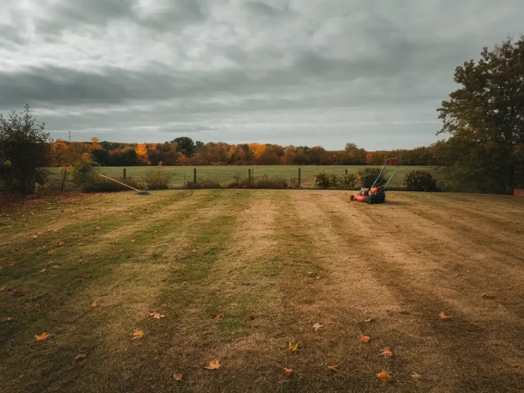 Top 10 Lawn Care Mistakes Homeowners Make