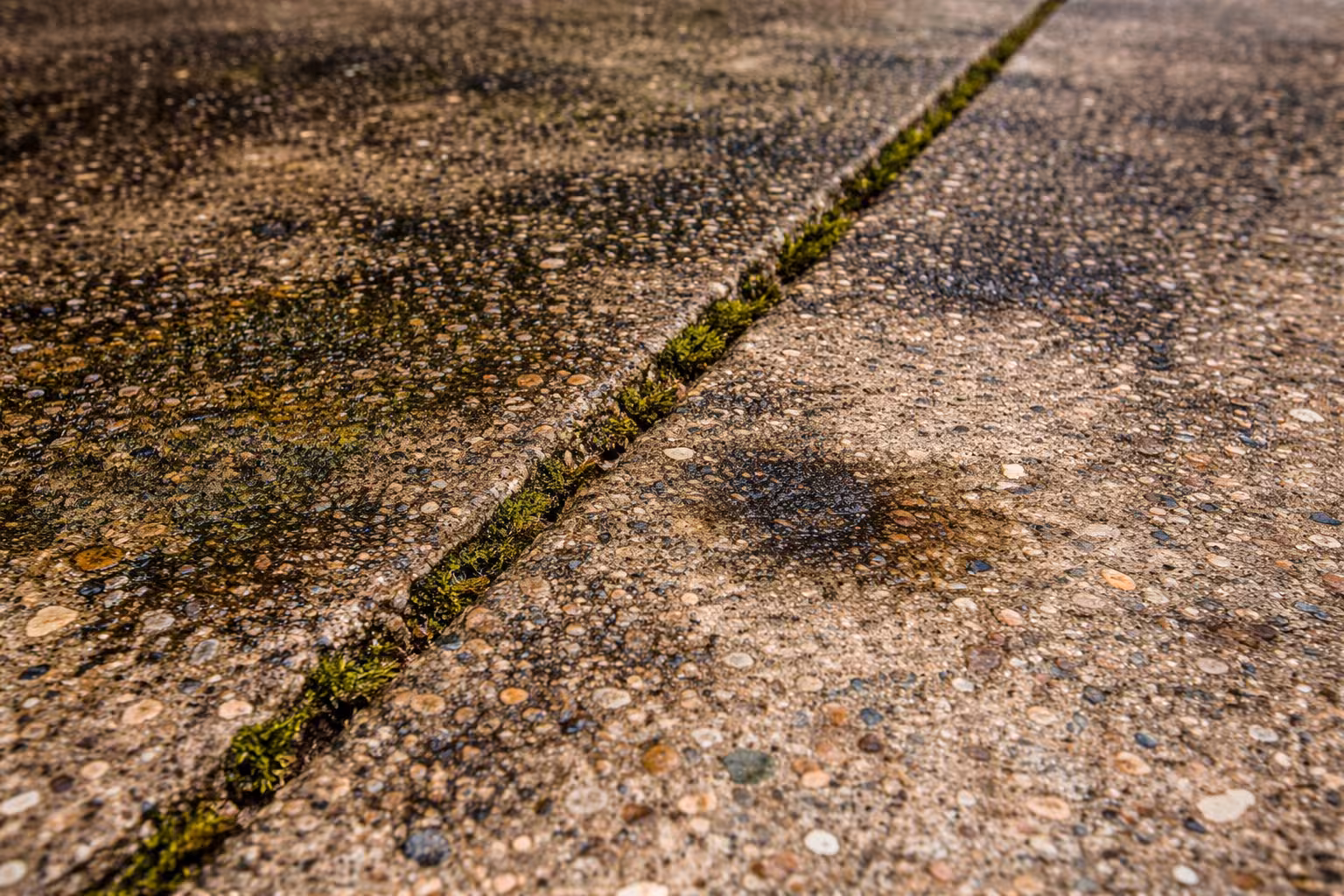 Before1 Driveway Cleaning Fairfax County