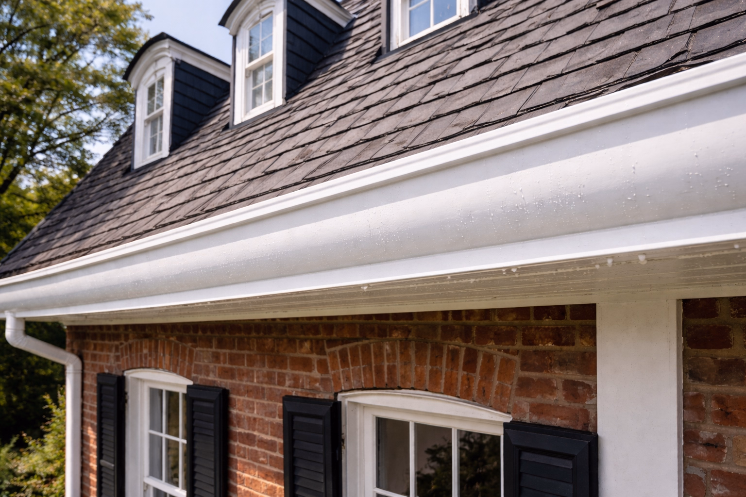 After Gutter Cleaning & Brightening in Alexandria