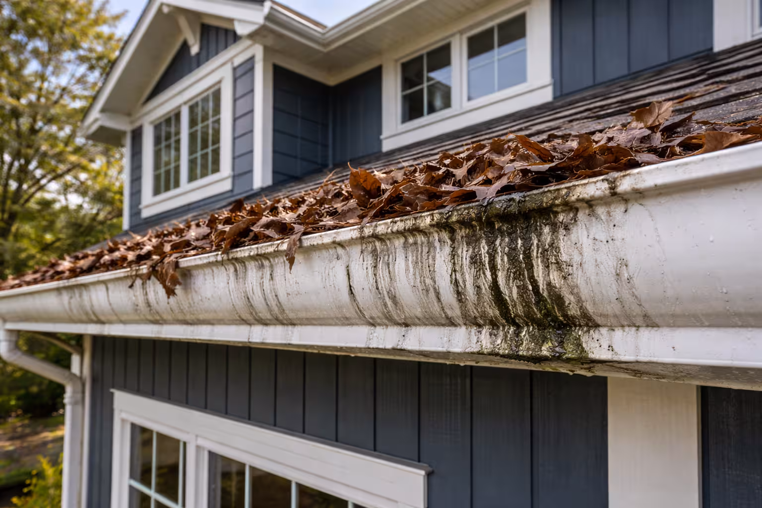 Before Gutter Cleaning & Brightening Arlington