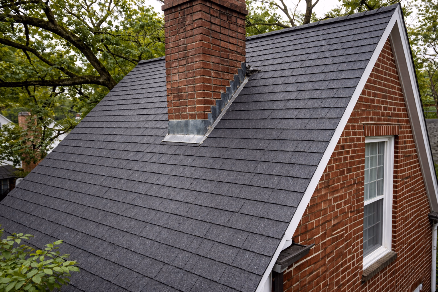 after1 roof cleaning service in Alexandria