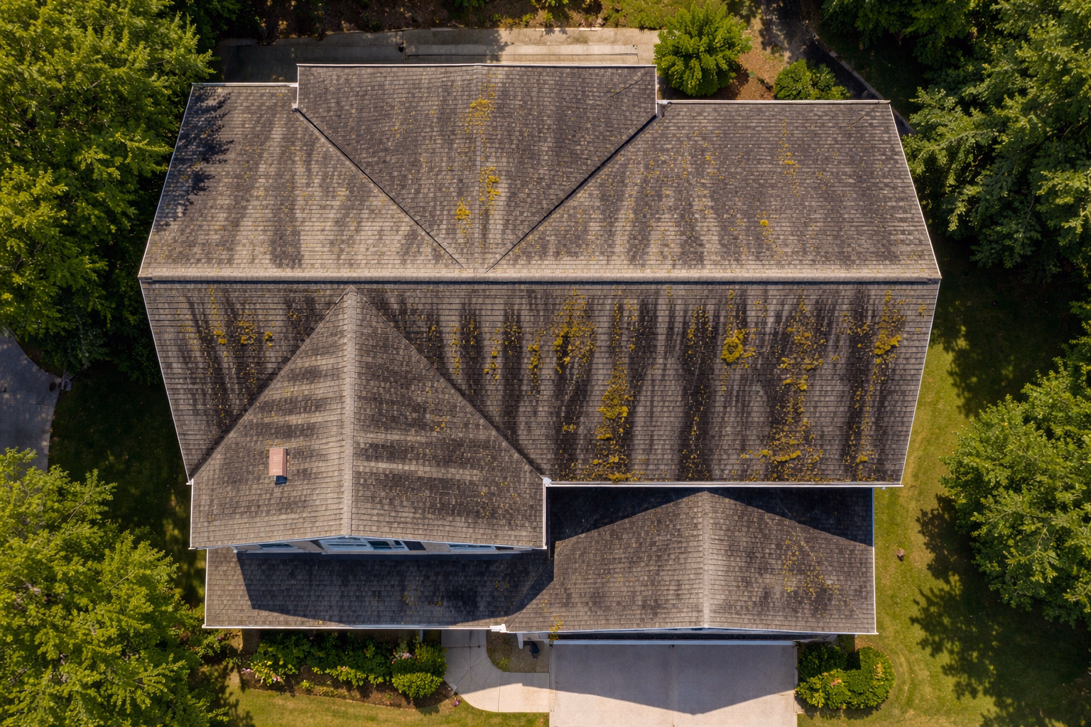 roofcleaningarlingtonbefore before1 roof cleaning service in arlington