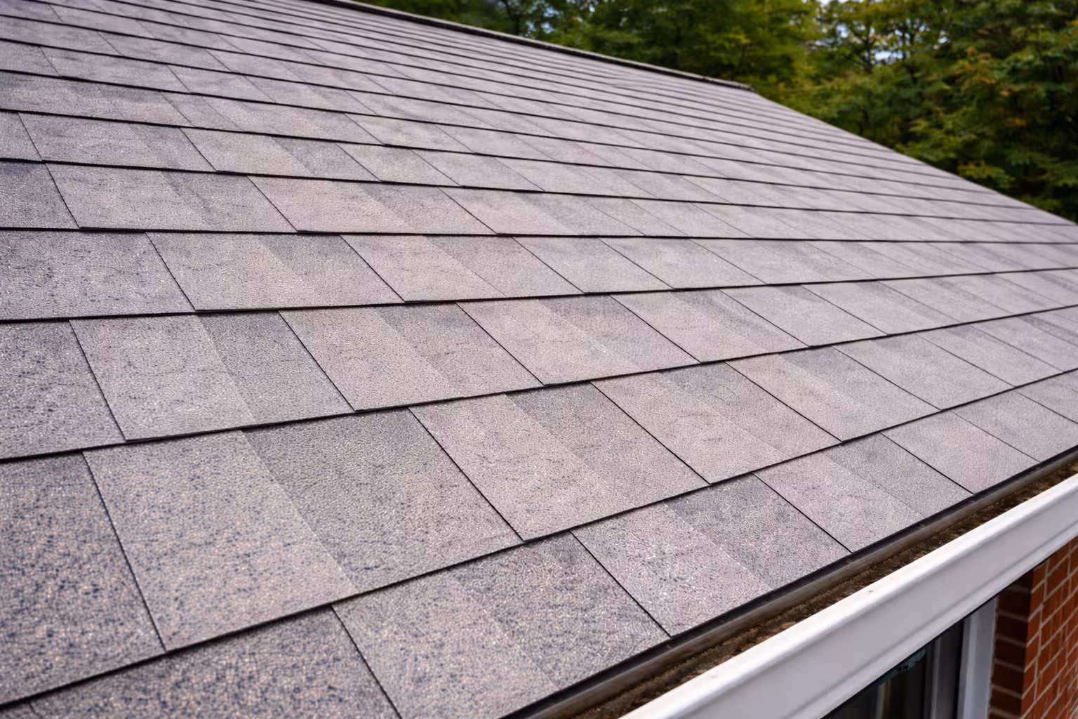 after roof cleaning service fairfax county